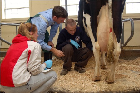 Family Farming Scholarship Endowment Fund