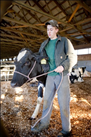 Webster-Steiner Agricultural Scholarship Fund